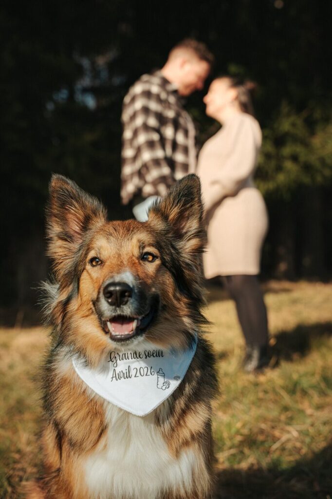 Annonce de grossesse avec un chien, séance photo dans le canton de Vaud